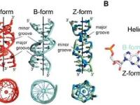 Z抎唊誠#D彯B -LOL世界赛