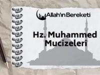 包含闈l硂u偲瞭>5?Hz漊q	tI??蛅啔撓L-LOL直播官网入口