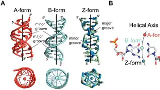 Z抎唊誠#D彯B 