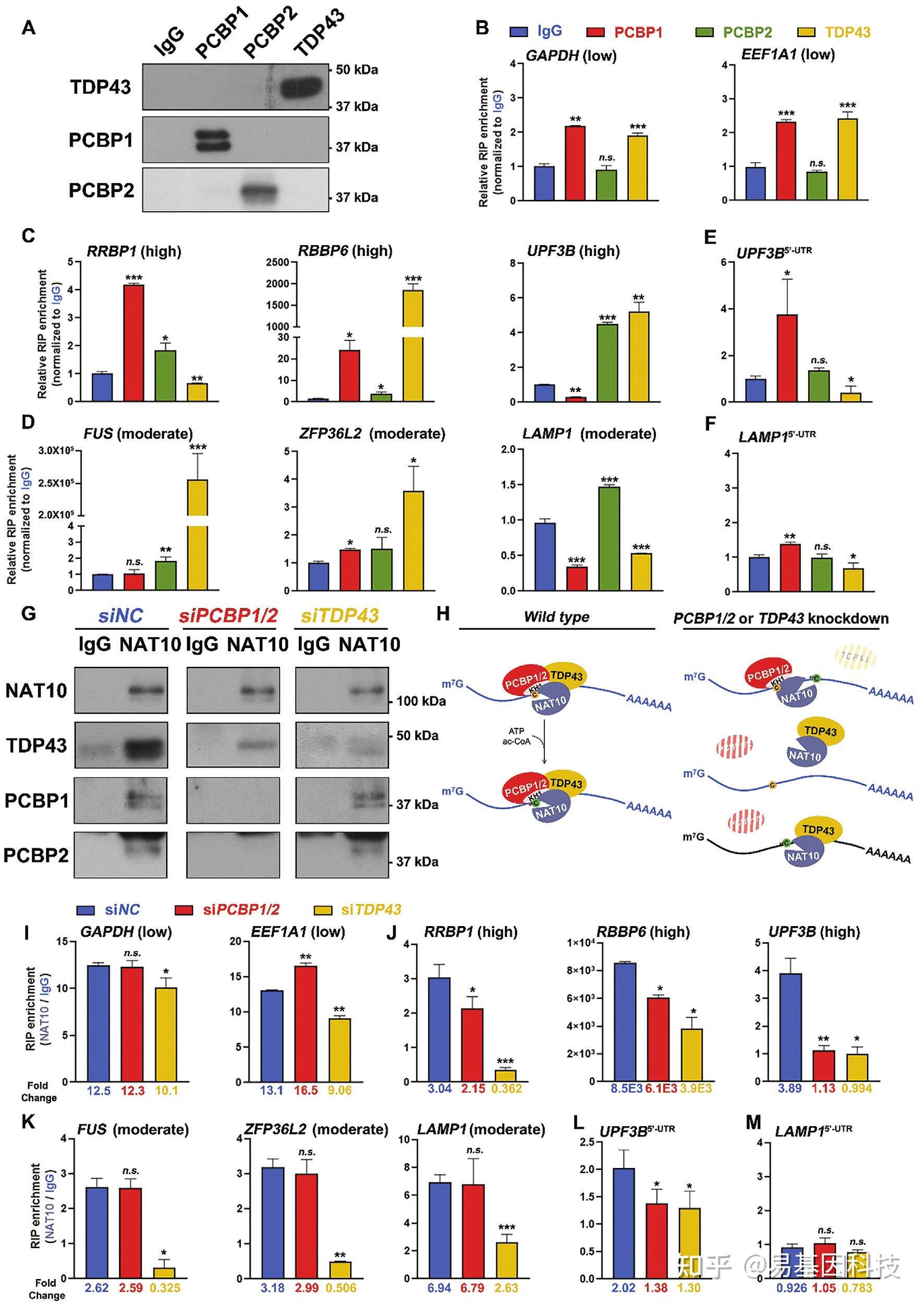 ?C鬛?_;的简单介绍
